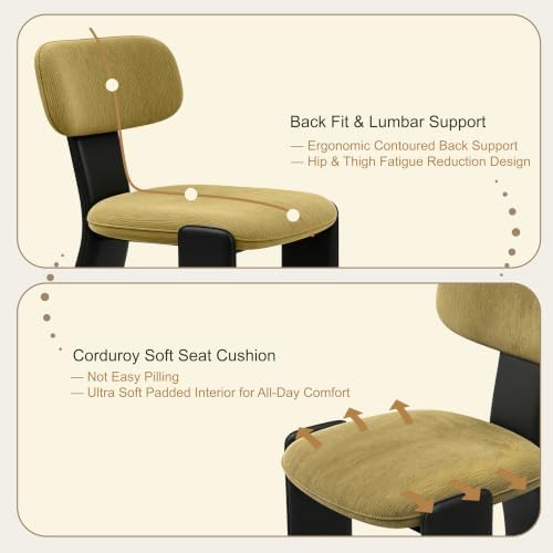 Dining Chairs, Wide Seat with Backrest for Kitchen, Tangerine