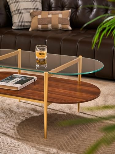 AGV LIGHTING Oval Rectangle Coffee Table 42 Inch 2 Tier, Mid-Century Modern Coffee Table, Clear Glass Top with Walnut MDF Shelf and Glod Metal Legs, Capsule Shape Coffee Table for Living Room