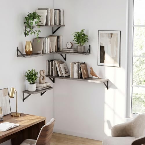 Dreamland Wall Mounted Floating Shelves Set of 2, 16x8, Grey