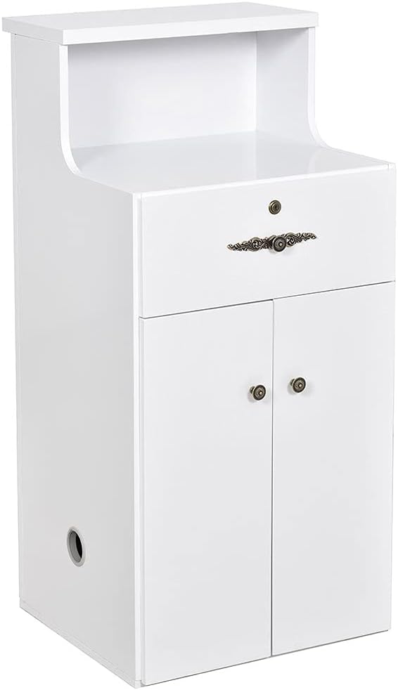 Dir Reception Area Counter, Receptionist Desk Lobby, Check-in Desk with LED Lights Valencia Side Storage in White