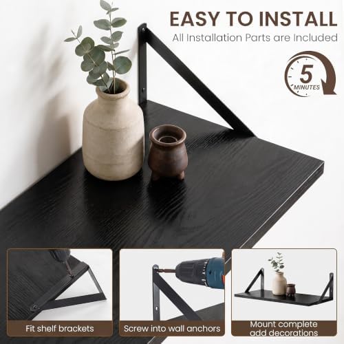 Dreamland Wall Mounted Floating Shelves Set of 3, 16x12, Black