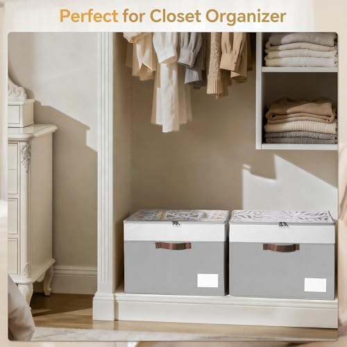 Shoe Organizer for Closet, 2 Pack Foldable Shoe Storage Organizer Box Bin with Adjustable Dividers and Clear Cover, Closet Shoe Storage for Sneakers Sandals Boots, Fit 16-32 Pairs, Gray