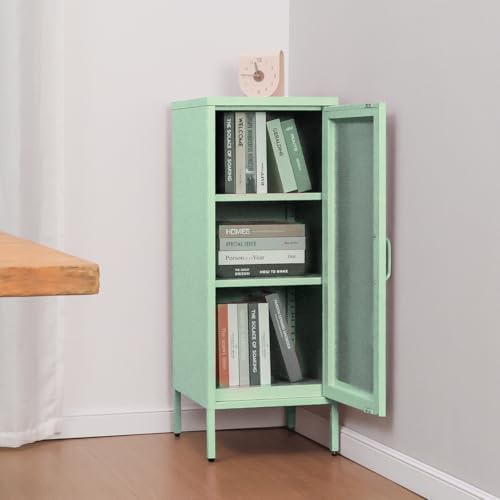 ALBAD Slim Metal Storage Cabinet with Mesh Door