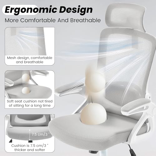 Fizzin Office Chair Mesh Computer Chairs with Adjustable Lumbar Support