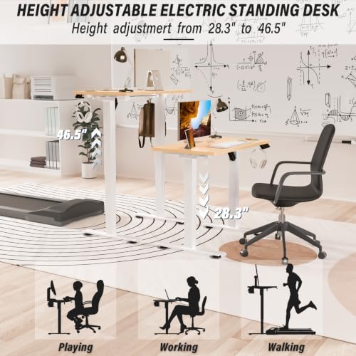 Standing Desk, 55x24 Inch Electric Height Adjustable Computer Desk