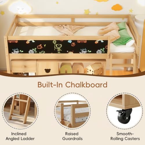 Low Loft Bed with Desk, Twin Size Solid Wood Bed Frame w/Storage Bookshelf & Blackboard, Full Guardrail, Ladder, No Box Spring Needed for Kids Teen, Easy Assembly (Natural)