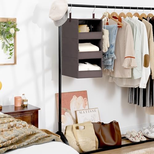 GRANNY SAYS 3-Shelf Hanging Closet Organizer, Foldable Storage, Dark Brown