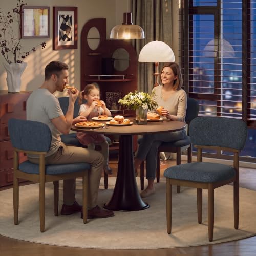 MALOL Dining Chairs Set of 4, Modern Kitchen Chairs with Wood Legs,Blue