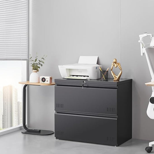 Approgreent 2 Drawer File Cabinet, File Cabinets for Home Office, Printer Stand, File Cabinet with Lock, Lateral Filing Cabinet for A4/Letter/Legal Size File Folders, Assembly Required(Black)