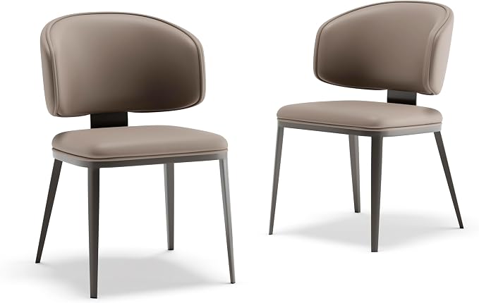 Dining Chairs Modern High Backrest Comfortable, Fashion Upholstered Kitchen Chair Armless Dinner Chair with Metal Legs for All Rooms (Milk Coffee, Set of 2)