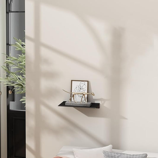 Danpoo 8 inch Small Floating Shelf for Wall Organizer & Storage, Mini Display Shelf, Metal Wall Shelf for Bathroom, Living Room, Kitchen, Bedroom(Matte Black)