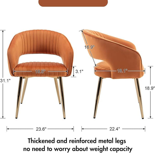 Hyfirm Orange Velvet Dining Chairs Set of 2, Modern Gold Legs Dining Room Chairs with Hollow Back, Upholstered Accent Kitchen Chairs for Living Room/Reception/Restaurant