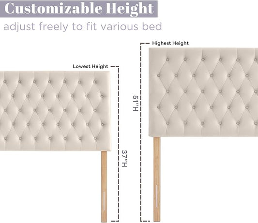 Upholstered Queen Headboard Only, Premium Velvet Button Tufted Headboards, Adjustable Solid Wood Head Board, Padded Headboard with Solid Wood Legs in Bedroom (Beige)