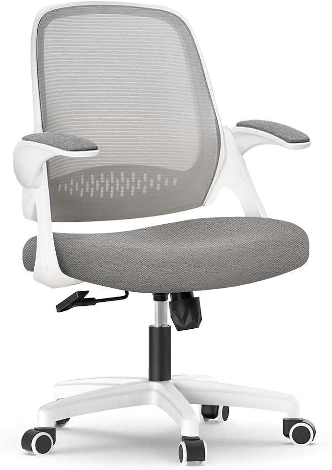 NEO CHAIR Office Desk Gaming Ergonomic Computer Chair with Lumbar Back Support Adjustable Height Swivel Rolling Wheels Flip-up Arms Mesh Chair for Home Vanity (Grey)