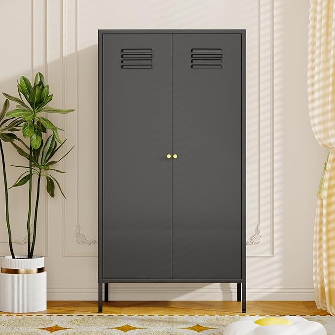 2 Door Metal Cabinet with Hanging Rod and 2 Freely Adjustable Shelves,Storage Locker Cabinet Closet for Office,Garage(Cabinet, Black)