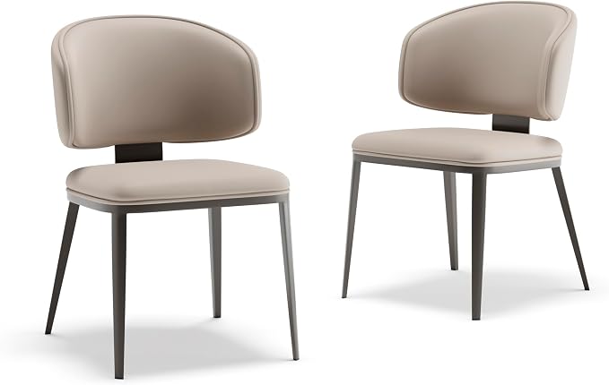 Dining Chairs Modern High Backrest Comfortable, Fashion Upholstered Kitchen Chair Armless Dinner Chair with Metal Legs for All Rooms (Light Grey, Set of 2)