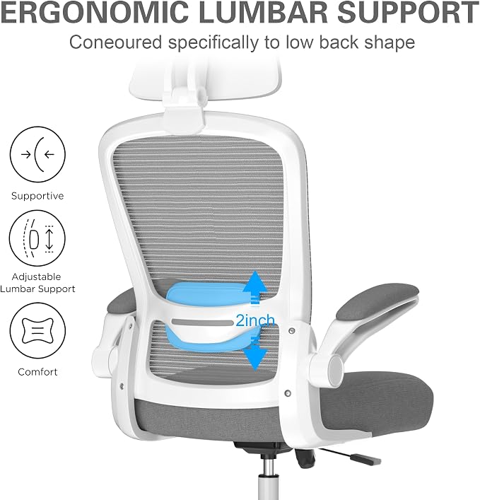 Mimoglad Office Chair, High Back Ergonomic Desk Chair with Adjustable Lumbar Support and Headrest, with flip-up Armrests for Guitar Playing, 5 Years Warranty (Modern, Charcoal (White Frame))