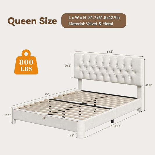 Queen Size Bed Frame with Headboard, Luxury Velvet Fabric Upholstered Bed frame with Button Tufted Design, Strong Wooden Slats Support - Low & Sturdy, Noise-Free, No Box Spring, Easy Assembly, Beige | Plush velvet