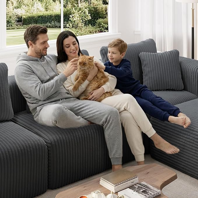 Novilla Modular Sectional Sofa, Modern Cloud Sectional Couch with Smarts Coil® Support, Upholstered Boneless Couch for Living Room Apartments Bedroom, No Assembly Required, Dark Gray (Left-Arm Chair)