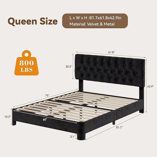 Queen Size Bed Frame with Headboard, Luxury Velvet Fabric Upholstered Bed frame with Button Tufted Design, Strong Wooden Slats Support - Low & Sturdy, Noise-Free, No Box Spring, Easy Assembly, Black | Plush velvet