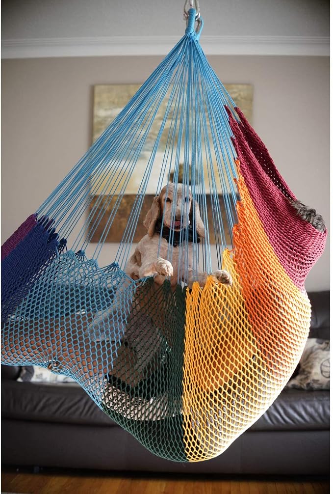 DreamGYM Hammock Swing Chair - Therapy Swing - Sensory Swing for Adults and Children - Rainbow