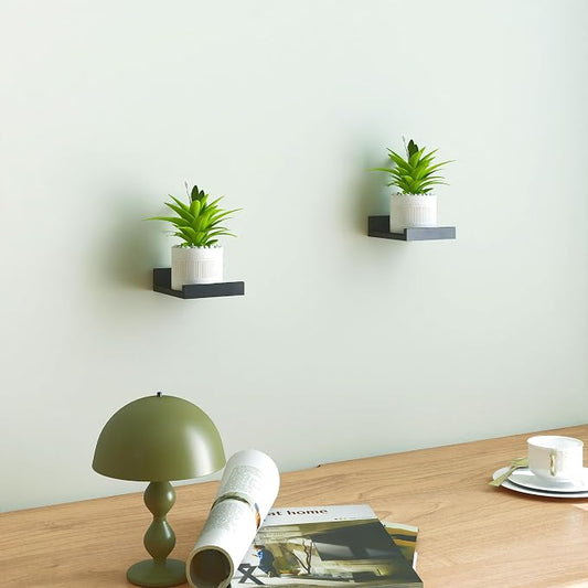 Small Black Floating Shelves for Wall Decor, Wall Mounted Wood Shelf for Bedroom, Living Room, Bathroom, Kitchen, Nursery, Mini Display Ledge Shelf with Lip Set of 2-4 Inches, Black