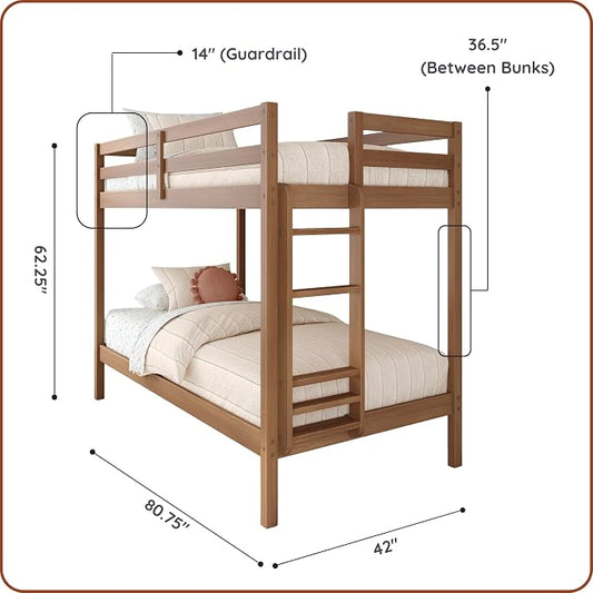 Grain & Grove Bear Twin Over Twin Bunk Bed, Sturdy Bunk Bed Frame for Kids, Plywood Bunk with Ladder, Guardrail, and Slats, No Box Spring Required, Oak Embossed Pecan