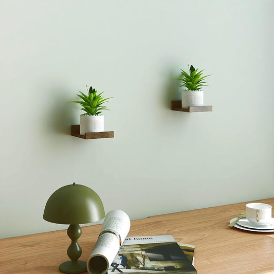 Small Floating Shelves for Wall Decor, Wall Mounted Wood Shelf for Bedroom, Living Room, Bathroom, Kitchen, Nursery, Mini Display Ledge Shelf with Lip Set of 2-4 Inches, Brown