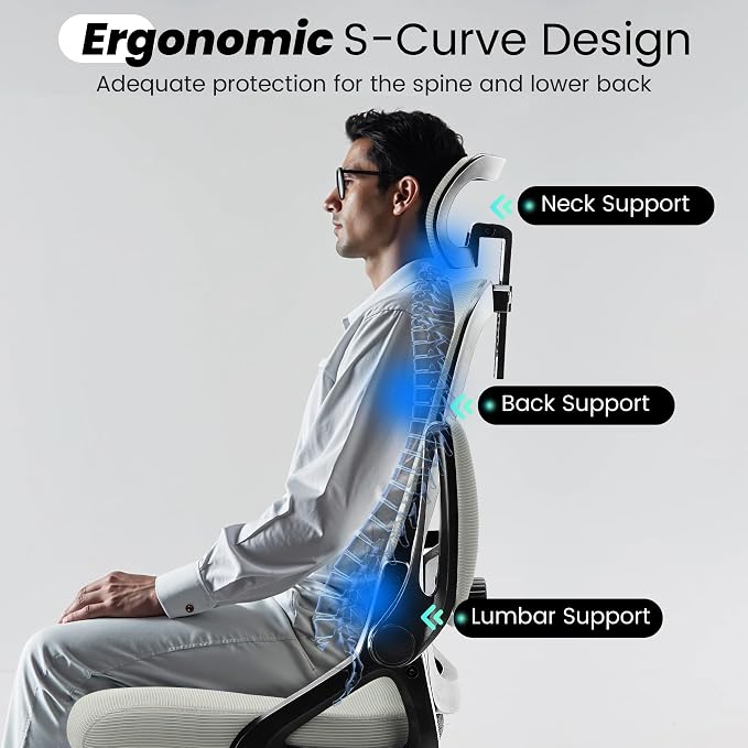 Fizzin Ergonomic Office Chair, 400 LBS Computer Chairs with Adjustable Lumbar Support, Breathable Mesh Desk Chair Ergonomic with Thickened Cushion, Comfy Home Office Desk Chair (Dark Gray)