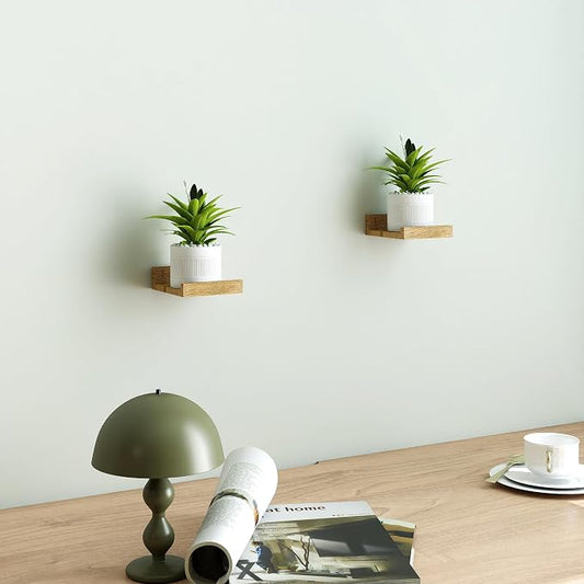 Small Floating Shelves for Wall Decor, Wall Mounted Wood Shelf for Bedroom, Living Room, Bathroom, Kitchen, Nursery, Mini Display Ledge Shelf with Lip Set of 2-4 Inches, Oak
