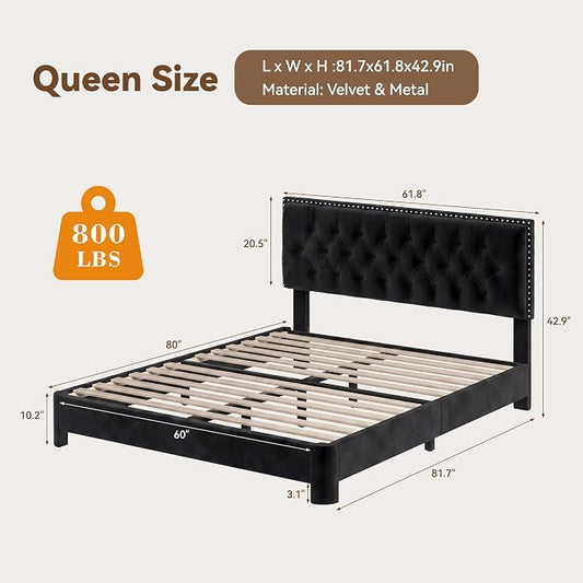 Queen Bed Frame with Headboard, Luxury Velvet Fabric Upholstered Bed frame with Button Tufted Design, Strong Wooden Slats Support - Low & Sturdy, Noise-Free, No Box Spring, Easy Assembly, Black | Plush velvet