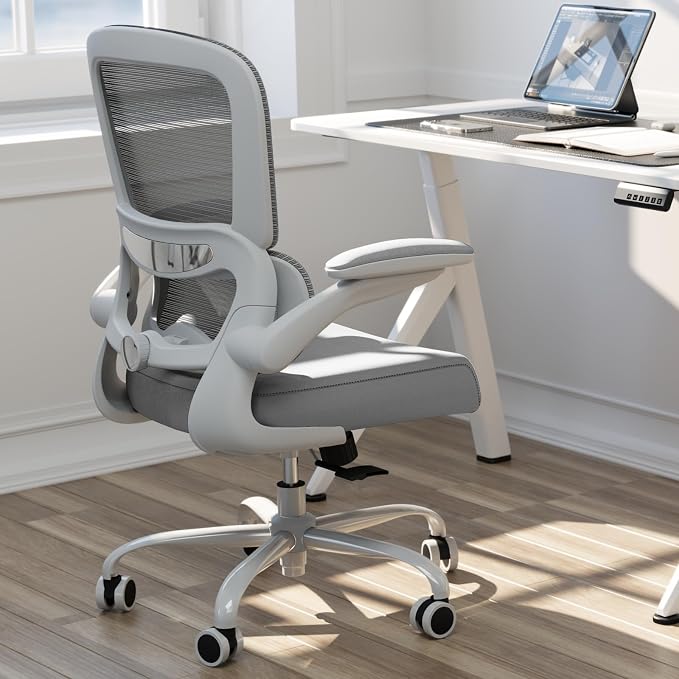TRALT Office Chair - Ergonomic Desk Chair with Adjustable Lumbar Support, Mesh Computer Chair, Executive Chairs for Home Office Comfortable Lumbar Support (Ash Gray)