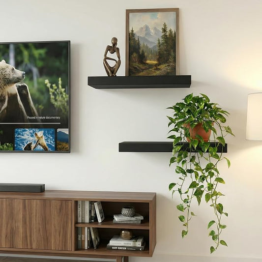 17.5in Floating Shelves for Wall, Wall Mounted Shelves for Decor Storage Set of 2, Floating Shelf for Bedroom, Bathroom, Living Room and Kitchen(Black)
