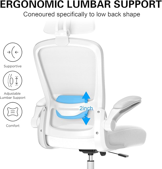 Mimoglad Office Chair, High Back Ergonomic Desk Chair with Adjustable Lumbar Support and Headrest, Swivel Task Chair with flip-up Armrests for Guitar Playing, 5 Years Warranty