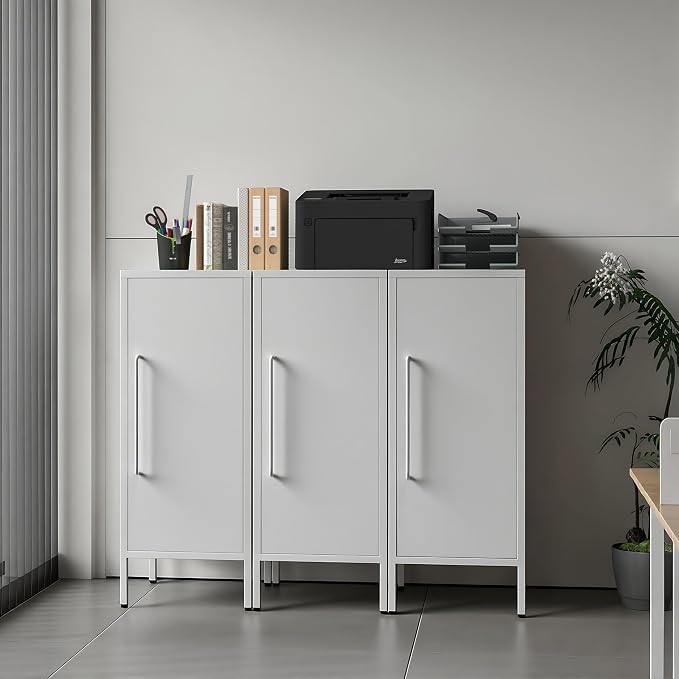 Metal Storage Cabinet with 2 Adjustable Shelves Small Storage Cabinets with Door for Office Kitchen Bathroom Living Room Pantry Garage (White)