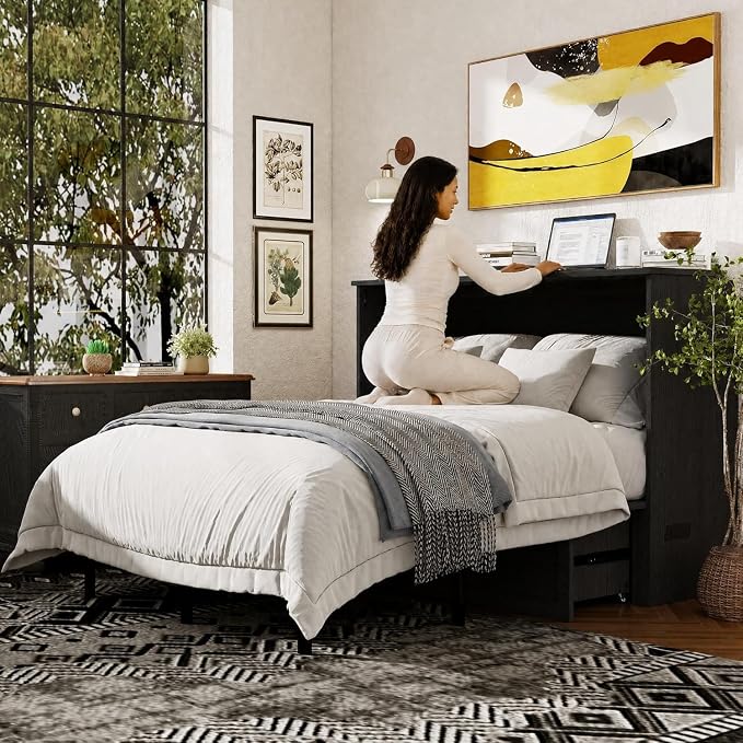 Ihanherry Farmhouse Queen Murphy Bed with Storage Drawer,Cabinet Bed with LED Lights & Charging Station, Space Saving Wall Bed for Small Bedroom/Home Office, Noise Free & Easy Assembly, Black