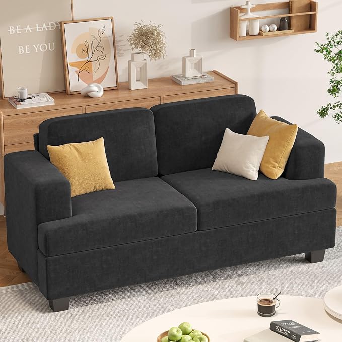 Apicizon 63" Cloud Sofa Loveseat Sofas, Comfy Loveseat Couch for Bedroom Living Room, Couch Sofa with Removable Cushions, Dark Grey Chenille