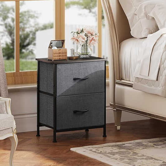 WLIVE Nightstand, 2 Drawer Dresser for Bedroom, Small Dresser with 2 Drawers, Bedside Furniture, Night Stand, End Table with Fabric Bins for Bedroom, Closet, Entryway, College Dorm, Dark Grey