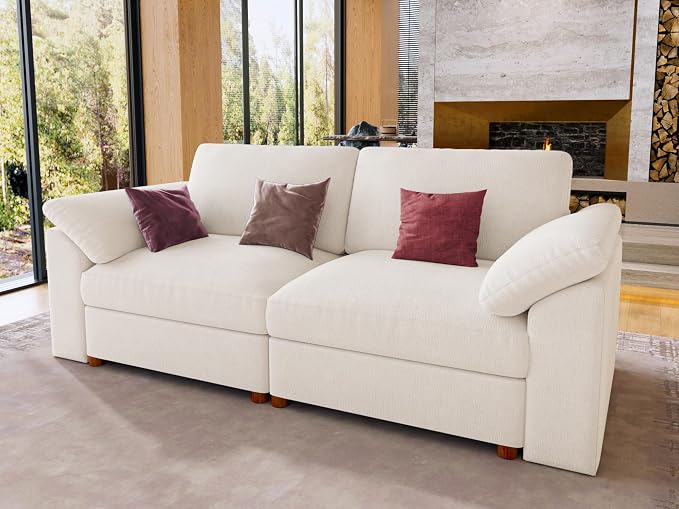 EASE MOOSE Modern Loveseat Sofa for Living Room, Comfty 2 Seat Solid Wood Frame Sofa, Modern Deep Seat Couch, Removable Cover