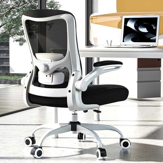 Ergonomic Office Chair for Long Hours, Padded Lumbar Support for Lower Back Relief, 330 lb Capacity, Comfortable Computer Desk Chair for Home Office, Computer & Study