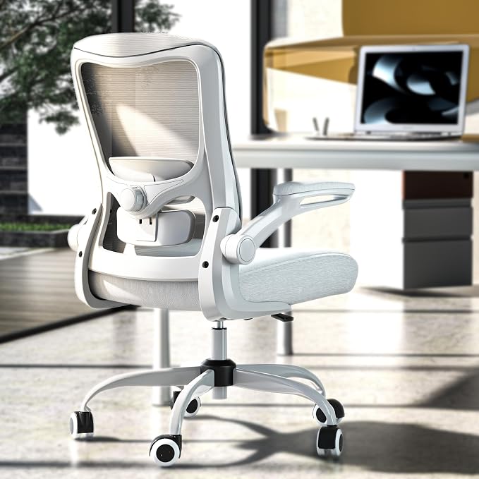 Ergonomic Office Chair for Long Hours, Padded Lumbar Support for Lower Back Relief, 330 lb Capacity, Comfortable Computer Desk Chair for Home Office, Computer & Study