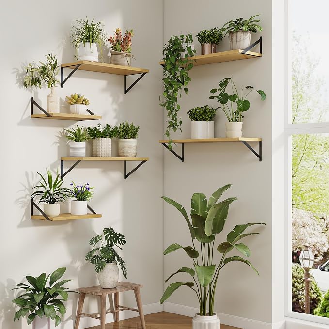 Axeman Deep Floating Shelves | 36 Inch Oak Wall Shelves Set of 2 | 10 Inch Deep Wood Floating Shelves for Wall | 36" W x 10" D Oak Shelves for Living Room Bathroom Kitchen