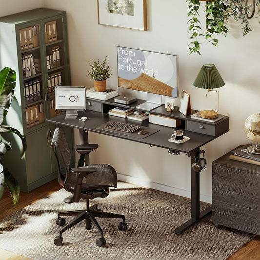 Agilestic 48 x 24 Inches Electric Standing Desk with 2 Storage Drawers, Adjustable Height Sit and Stand Computer Table with Splice Board, Black