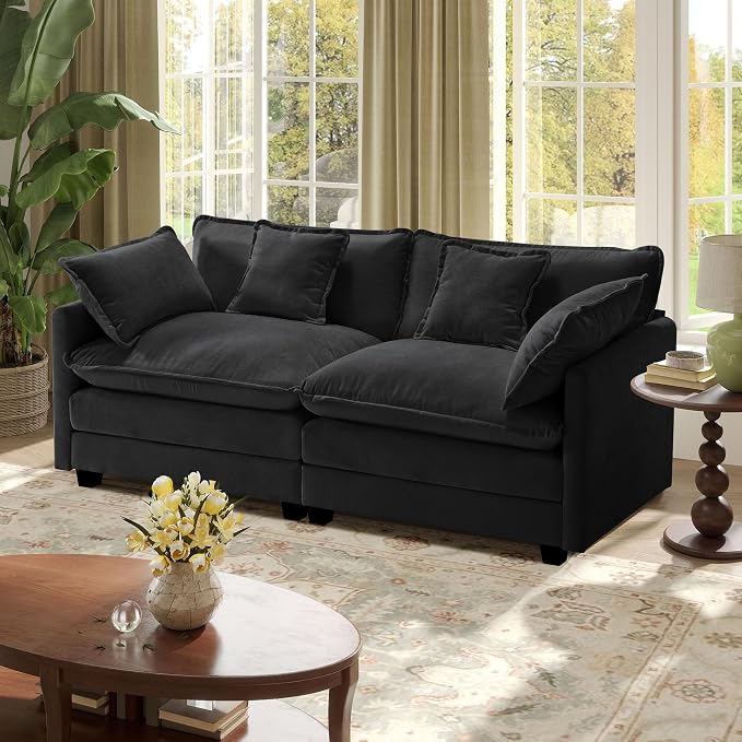 77.6" Modular Sectional Sofa,Loveseat Couch for Living Room, Modern Deep Seat Sofa 2 Seater Chenille Fabric Comfy Cloud Couches with Throw Pillows for Apartment,Small Spaces