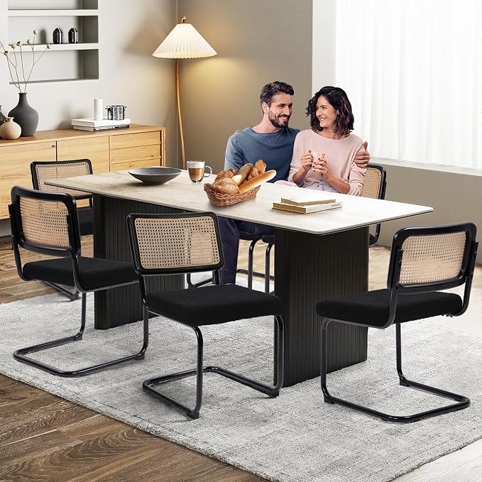 KROFEM Dining Chairs Set of 2,Modern Rattan Kitchen Chairs,Black | Mid Century Modern Design,Polished Chrome Frame,Upholstered Seat