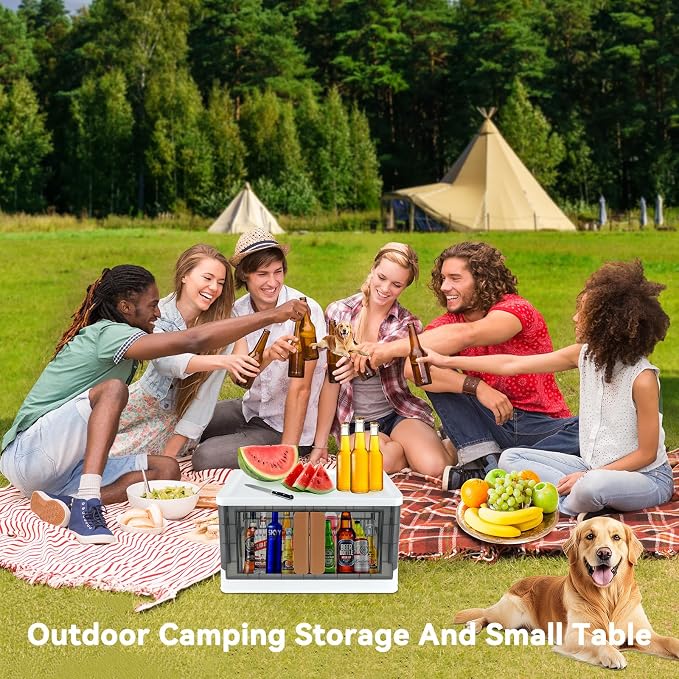 Storage Box, Cabinet with Lids, 8.4 Gallon (32L) Capacity, With Double Door and Lock, Foldable, Plastic, Underbed or Countertop Use, Home Organizer