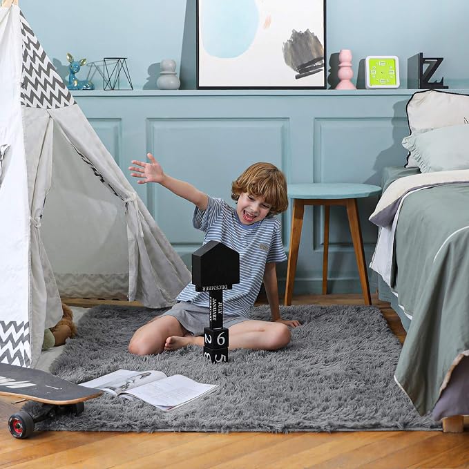 Ophanie Area Rugs for Living Room Bedroom, Washable Non-Slip Fluffy Soft Grey Shag Carpet, Indoor Floor Gray 4x6 Fuzzy Shaggy Living Room Plush Rug for Kids Home Dorm Decor Aesthetic