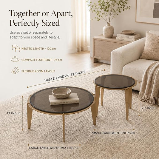 Nesting Coffee Table Set of 2, Organic Round Smoked Glass Tables with 8mm Tempered Glass, Champagne Gold Steel Frame, Sculptural Modern Accent Tables for Living Room, Apartment