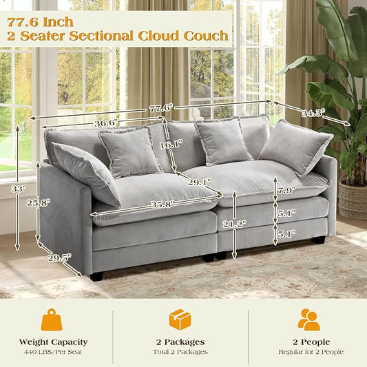 77.6" Modular Sectional Sofa,Loveseat Couch for Living Room, Modern Deep Seat Sofa 2 Seater Chenille Fabric Comfy Cloud Couches with Throw Pillows for Apartment,Small Spaces