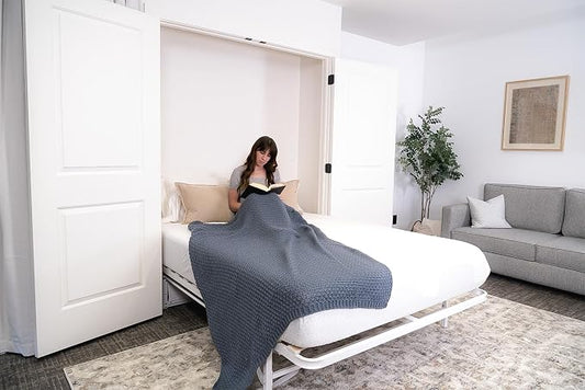 Wilding Wallbeds Deluxe Murphy Bed Frame (Twin) Vertical Wallbed, Powder-Coated Steel Frame for Folding Cabinet, Pull-Out Bed, Hidden Bed
